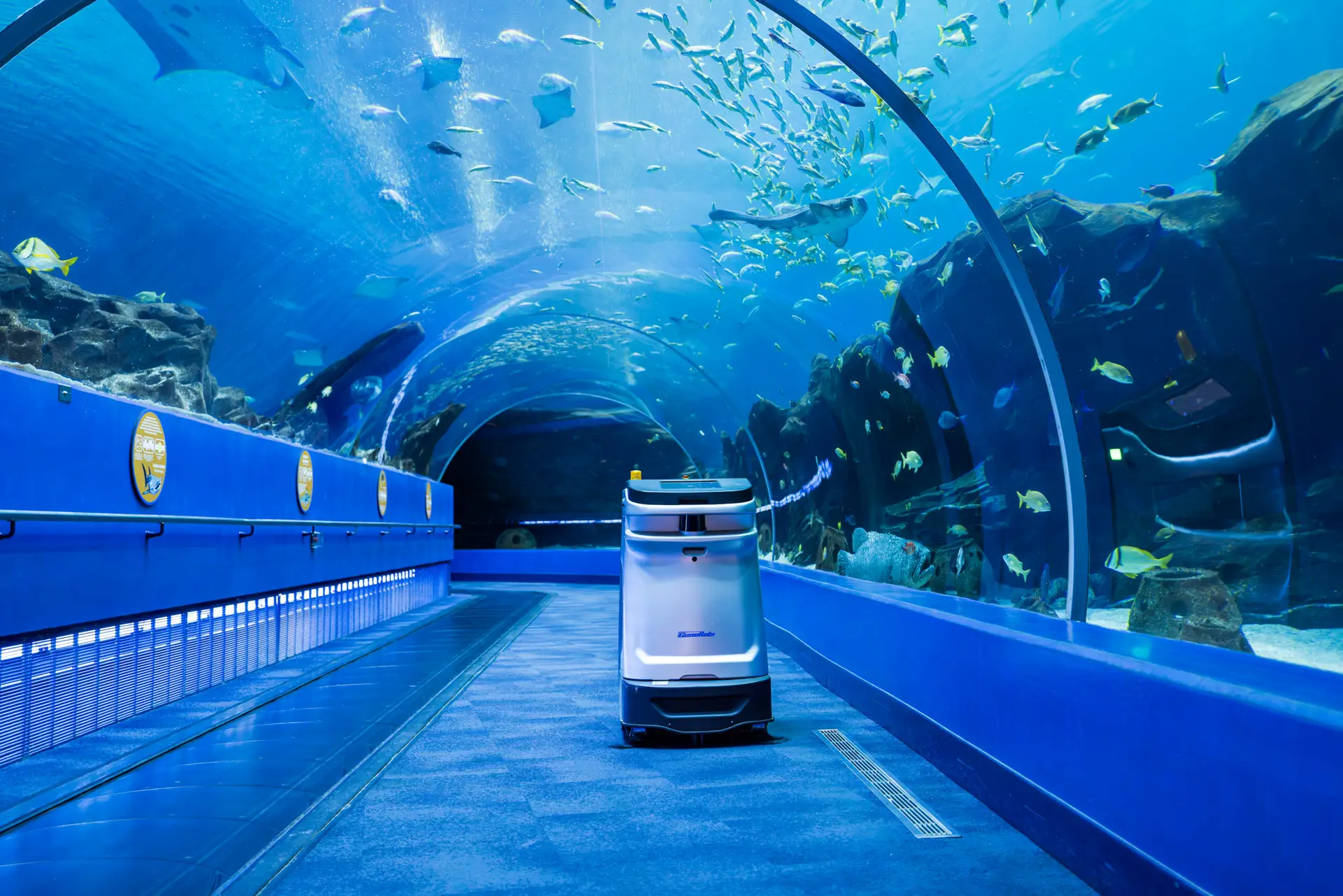 Georgia Aquarium facility managed by Millennium Facility Services