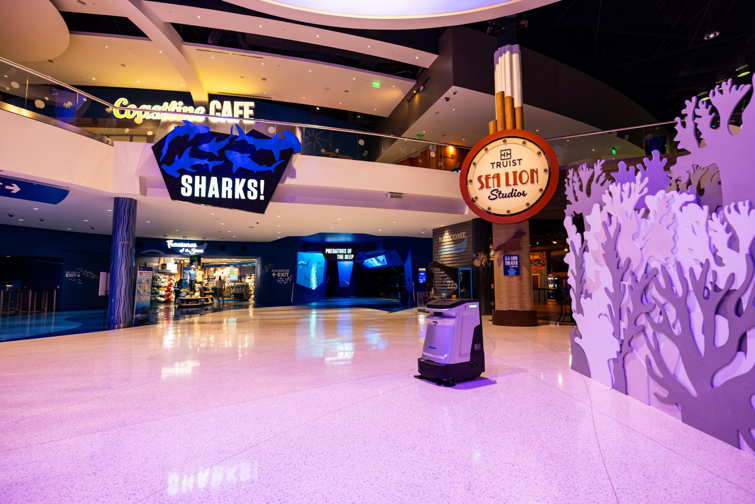 Professional facility cleaning services